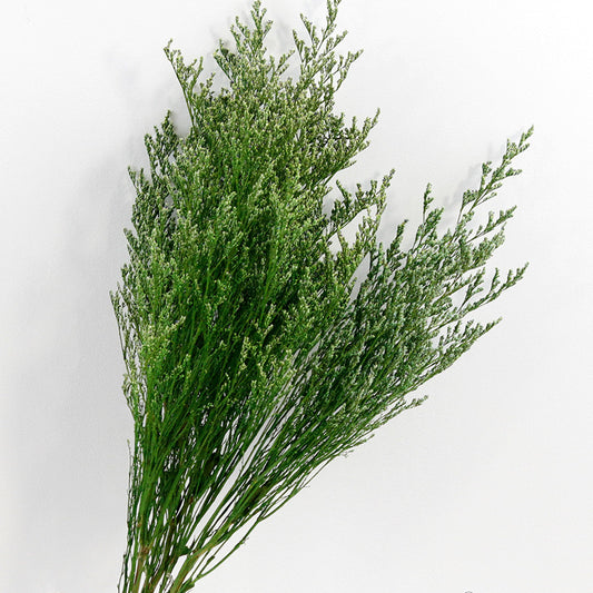 emerald love grass