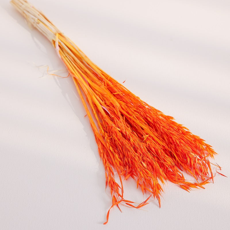 fire orange dried oats