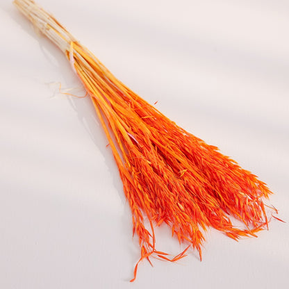 fire orange dried oats