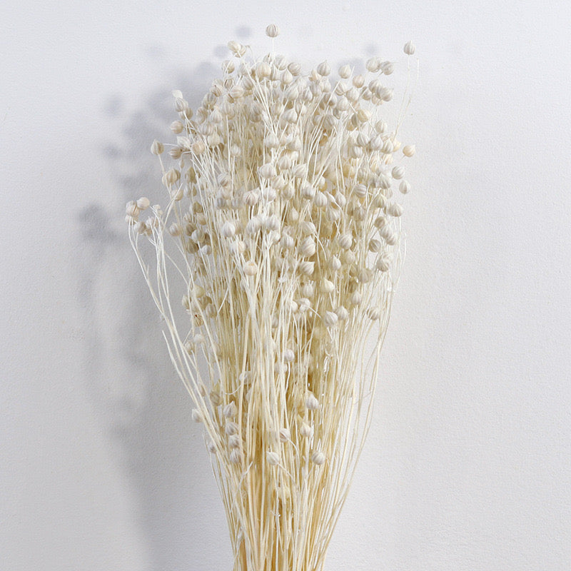 Flax (linum) Bleached White