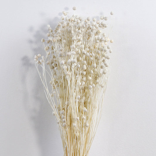 Flax (linum) Bleached White