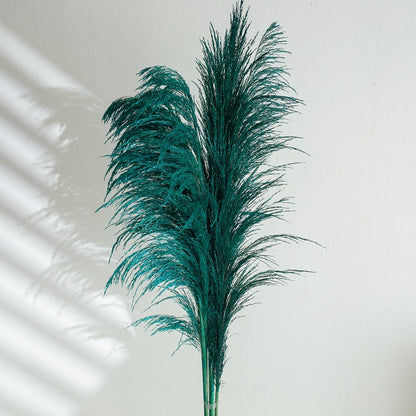 Giant green reeds pampas