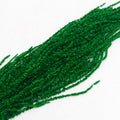 green Amaranthus