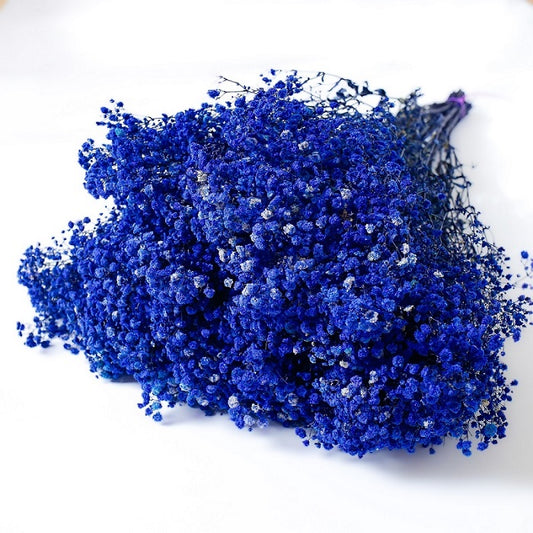 Gypsophila blue