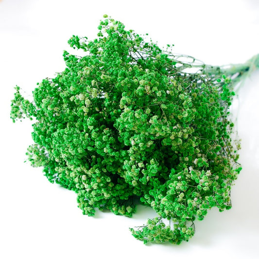 green Gypsophila