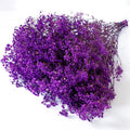 lilac preserved Gypsophila