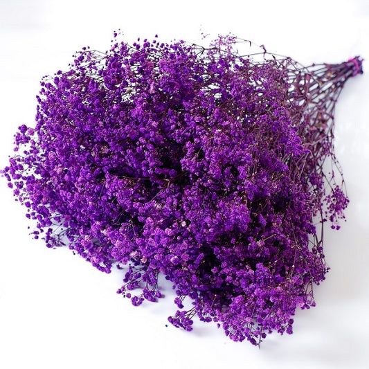 lilac preserved Gypsophila