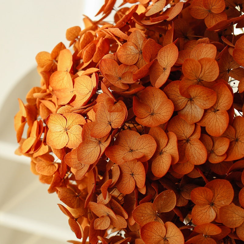 gradient gold Hydrangea