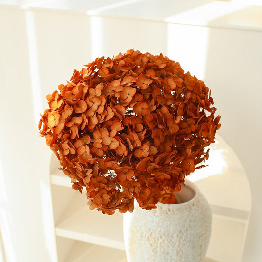 gradient gold Hydrangea