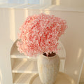 pink dried Hydrangea