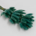 Jasper dried bunny tail