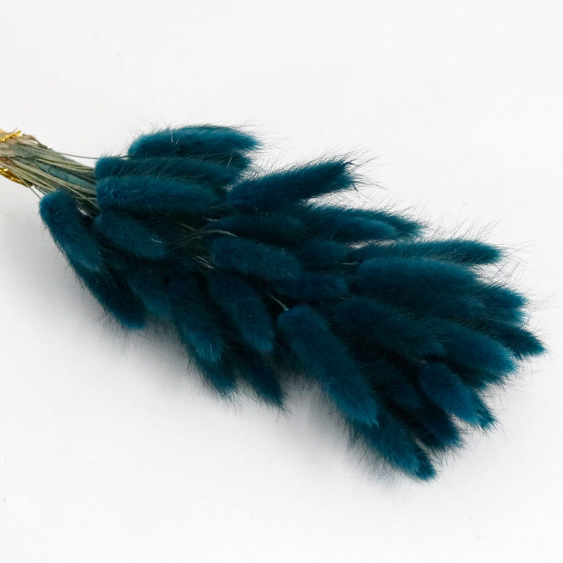 Dark jasper dried bunny tail