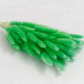 peak green dried bunny tail