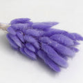 Purple dried bunny tail
