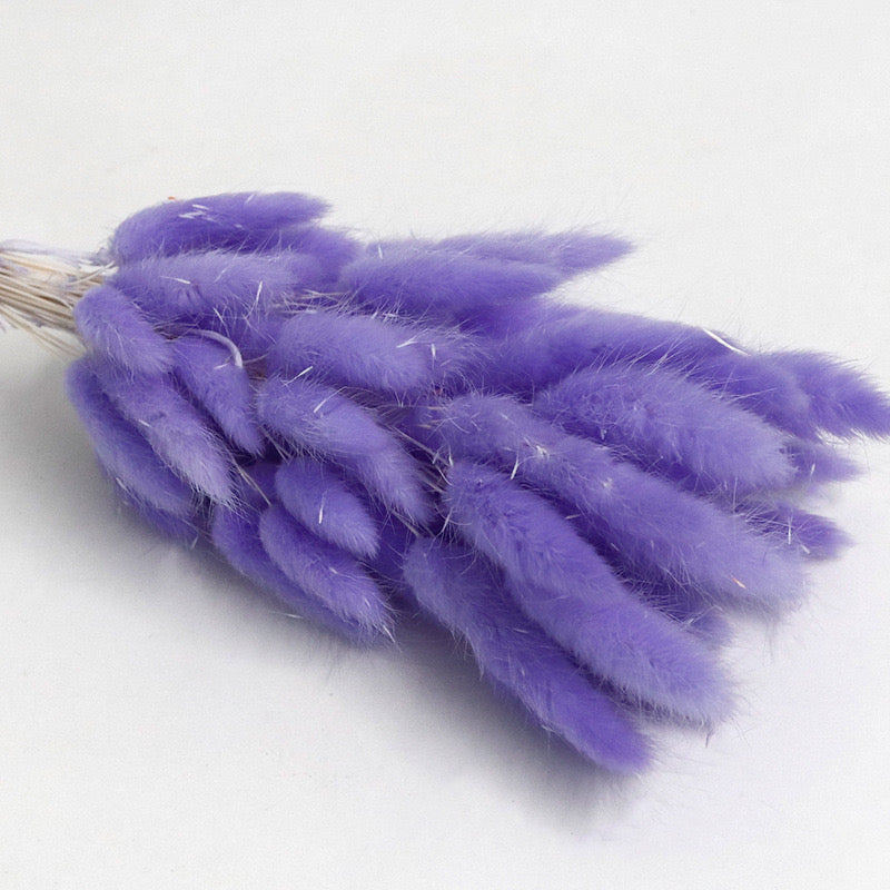 Purple dried bunny tail
