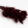 Dark brownish red bunny tail
