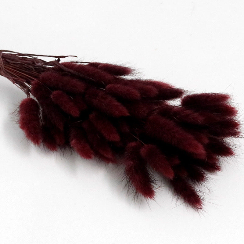 Dark brownish red bunny tail