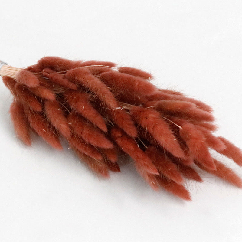 Red brown bunny tail