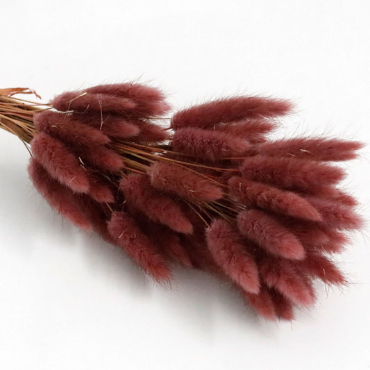 Coffee red bunny tail
