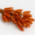 Fiery red bunny tail