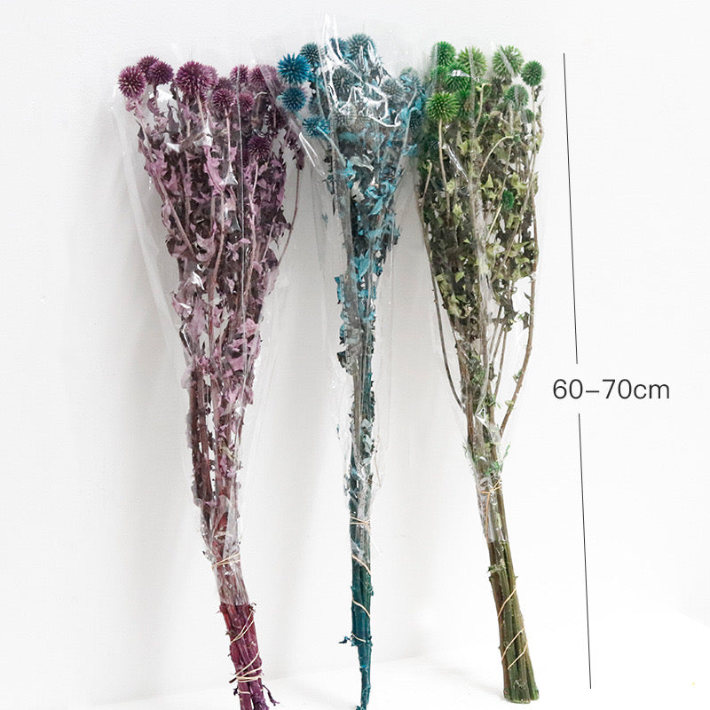 length