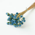 Light Blue Chamomile Daisy