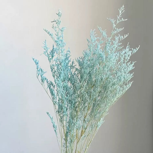 light blue dried love grass