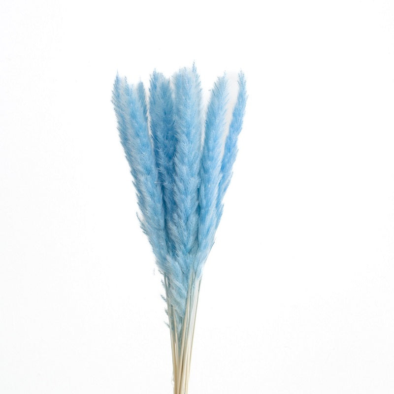 light blue dried slim pampas grass