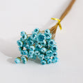 Tiffany blue dried Glixia Flower