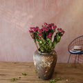 magenta dried roses
