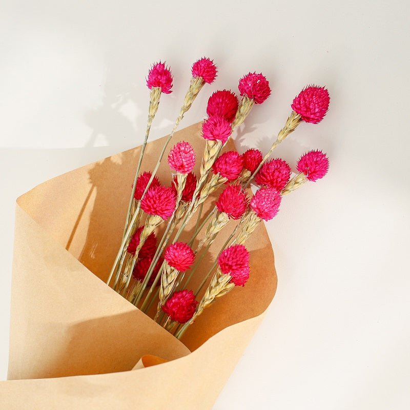 Magenta Dried Gomphrena