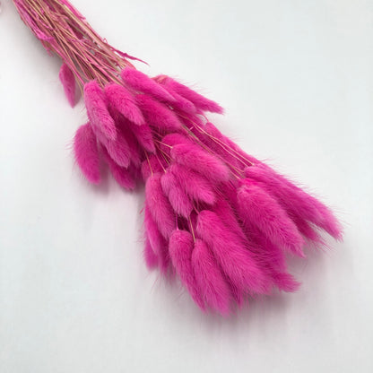 magenta red bunny tail