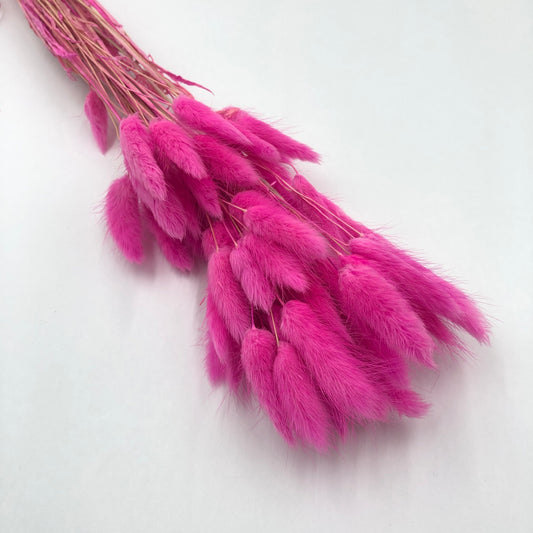 magenta red bunny tail