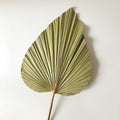 medium natural palm