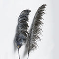 Giant Reeds Grass Dusty