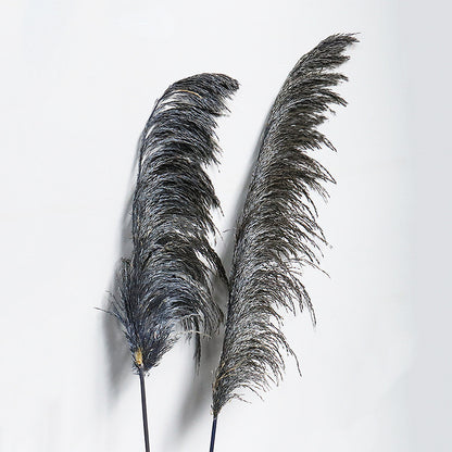Giant Reeds Grass Dusty