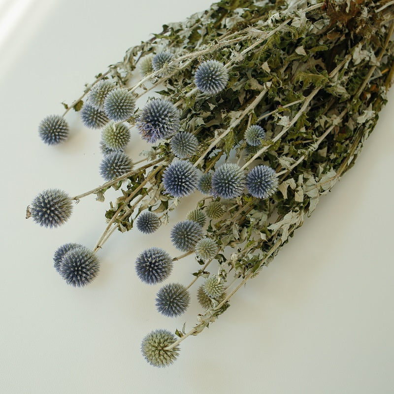 Natural Dried Thistle