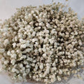 natural gypsophila