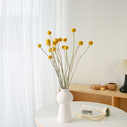 Natural Yellow Craspedia globosa Benth