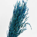 blue Dried Oats