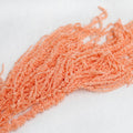orange Amaranthus