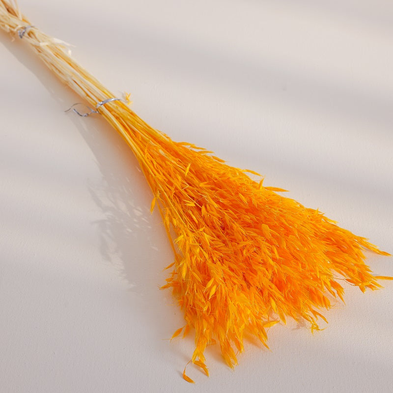 Bright orange dried oats