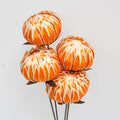 orange peony