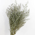 original natural love grass