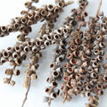 dried pepperberry