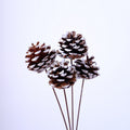Pine cones with iron stems
