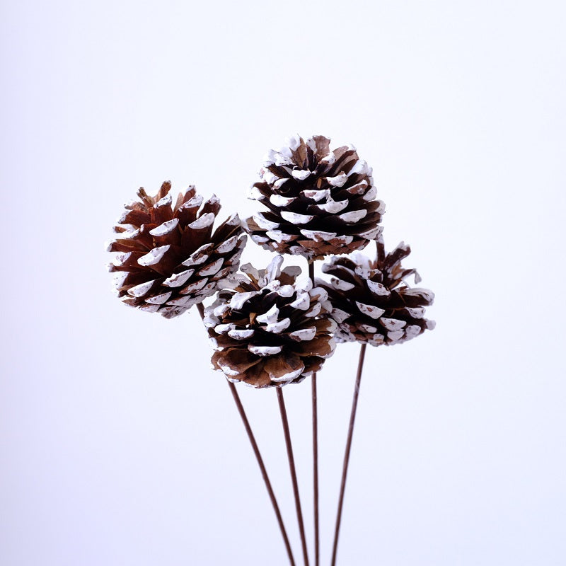 Pine cones with iron stems
