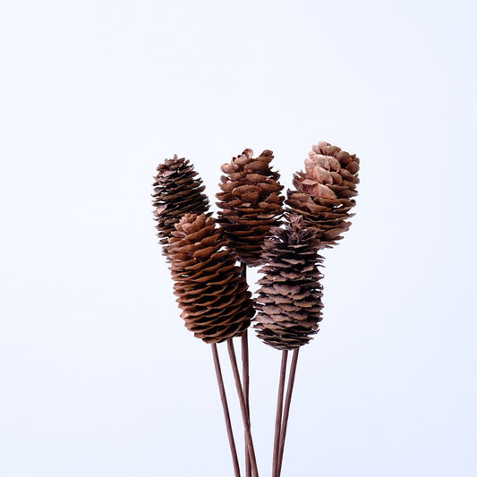 Long Pine cones with iron stems