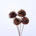 Pine cones with iron stems