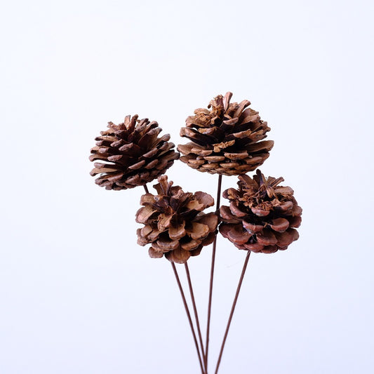 Pine cones with iron stems